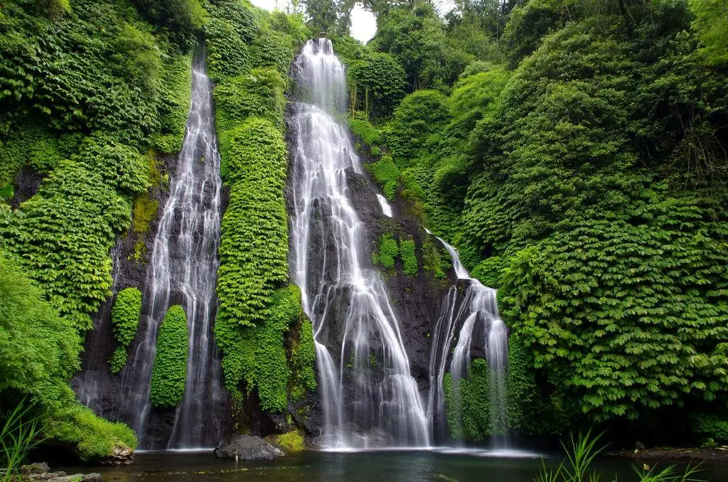 West Bali Adventure – Menjangan Island, West Bali National Park & Banyumala Waterfall